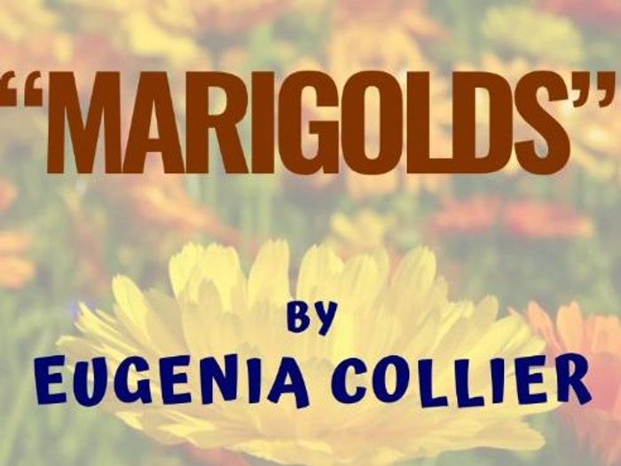 Marigolds by eugenia collier worksheet