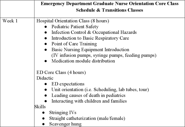 Emergency nursing orientation 3.0: burns