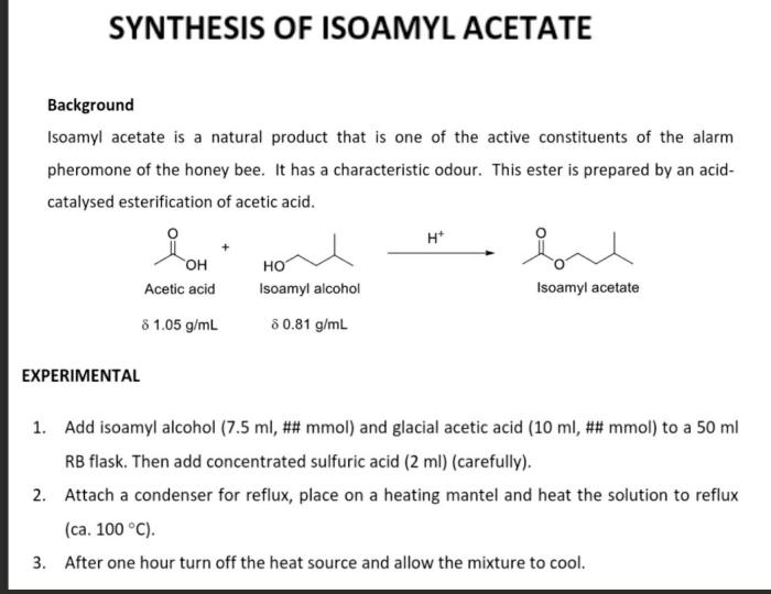 Synthesis of isoamyl acetate lab report