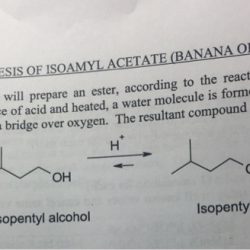 Acetate isopentyl synthesis image092 seekpng