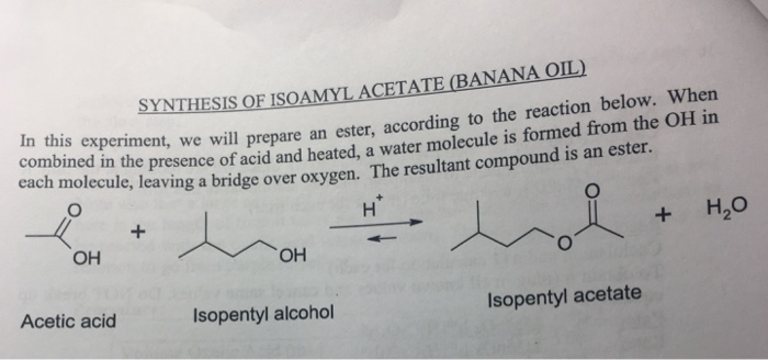 Acetate isopentyl synthesis image092 seekpng