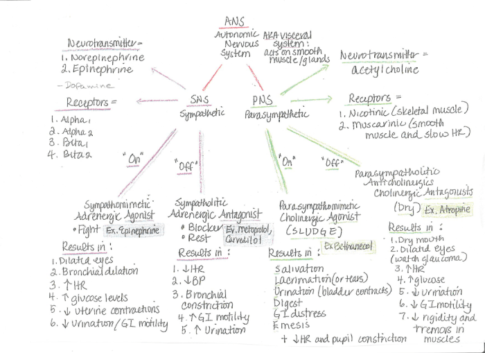 Pn learning system pharmacology final quiz