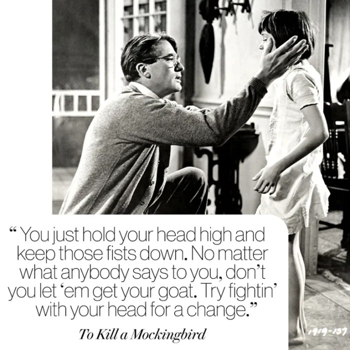 Quotes about racism to kill a mockingbird