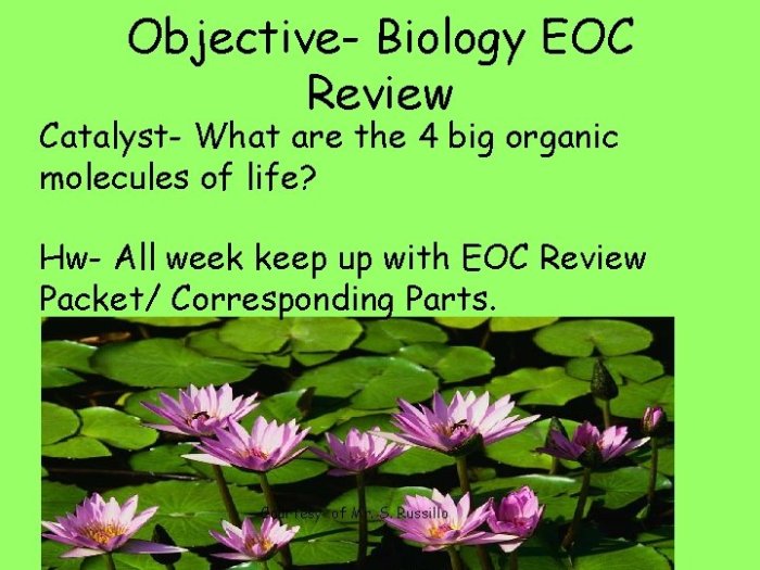 Biology eoc review packet answers