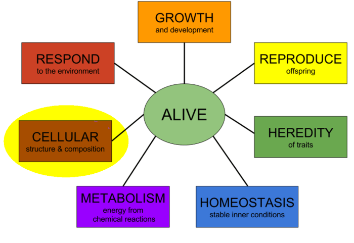 Characteristics of life crossword answer key