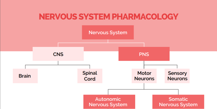 Pn learning system pharmacology final quiz