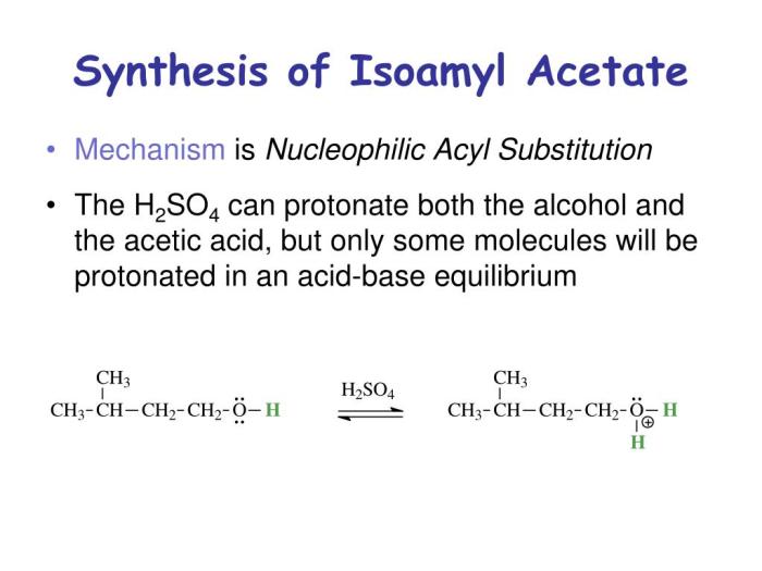 Synthesis of isoamyl acetate lab report