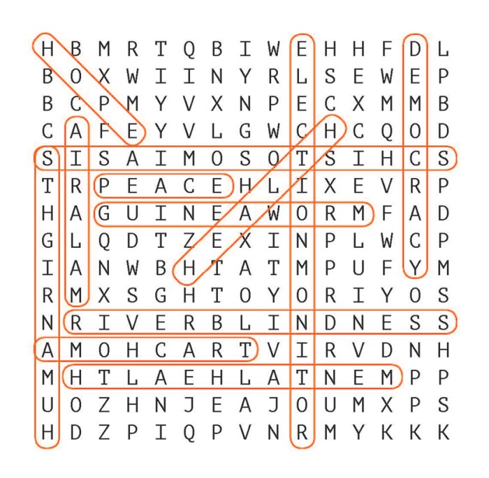 Physical education 4 word search answer key