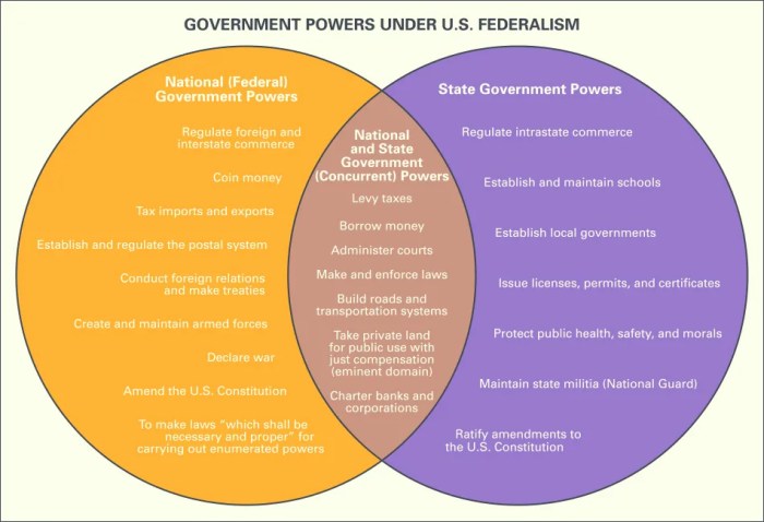 Federalism activity classifying government powers