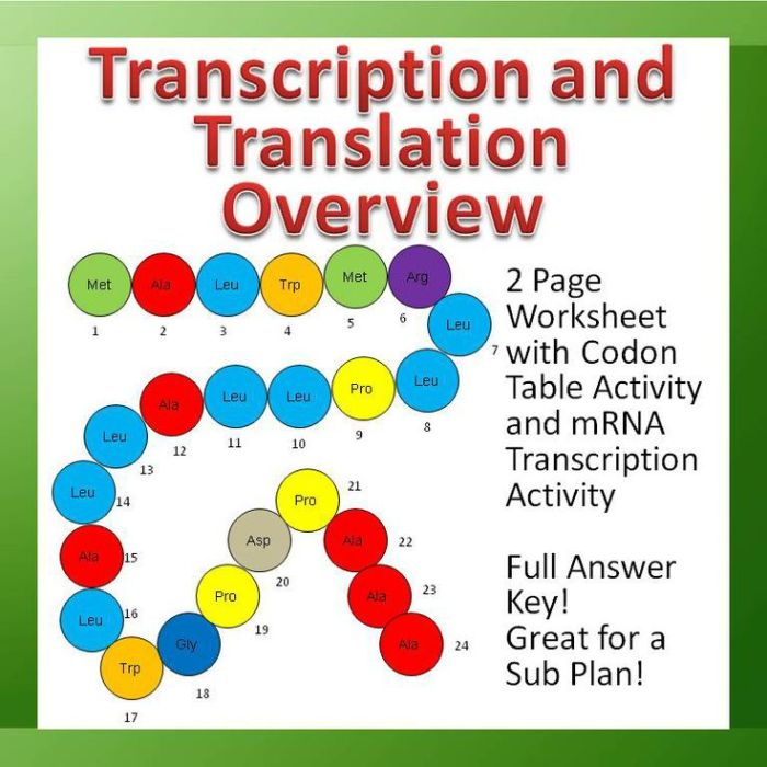 Protein synthesis and codons practice answer key