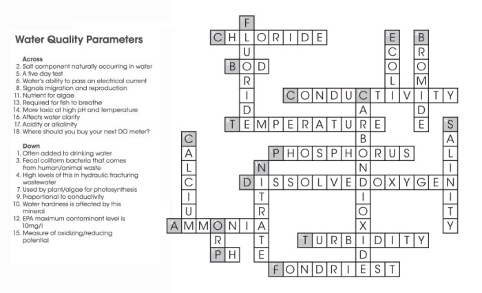 Matter and change crossword puzzle answer key