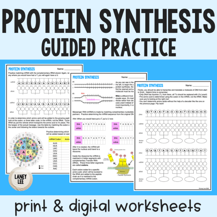 Protein synthesis and codons practice answer key