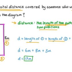 During the first 12.0 s find the total distance moved